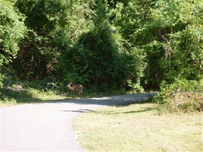 Blountstown Greenway