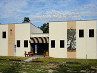 Mossy Pond Public Library